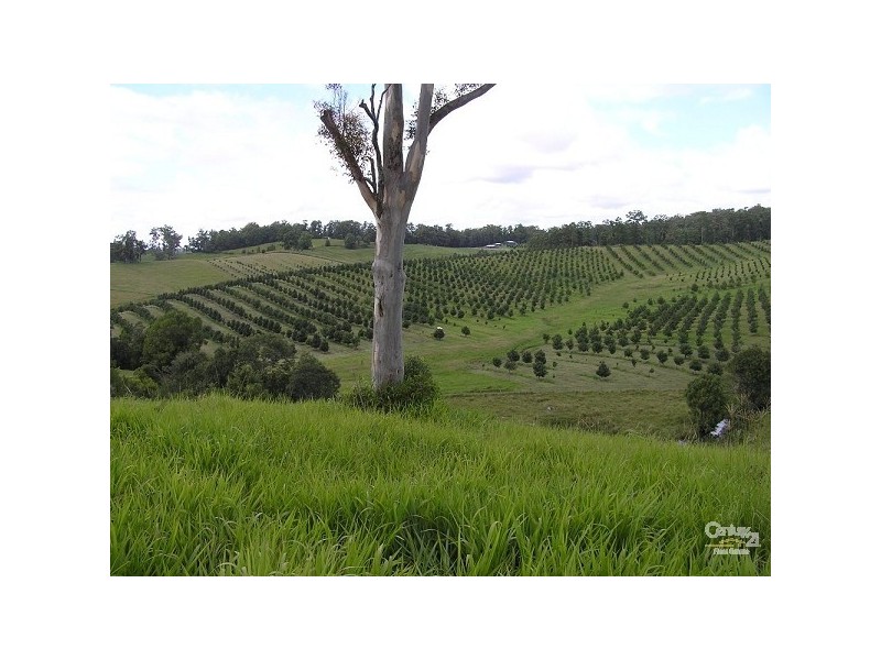 Lot 3 Peppertree Grove  off Congarinni Road, Congarinni North NSW 2447