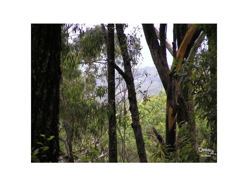 lot 168 East West Road, Valla NSW 2448