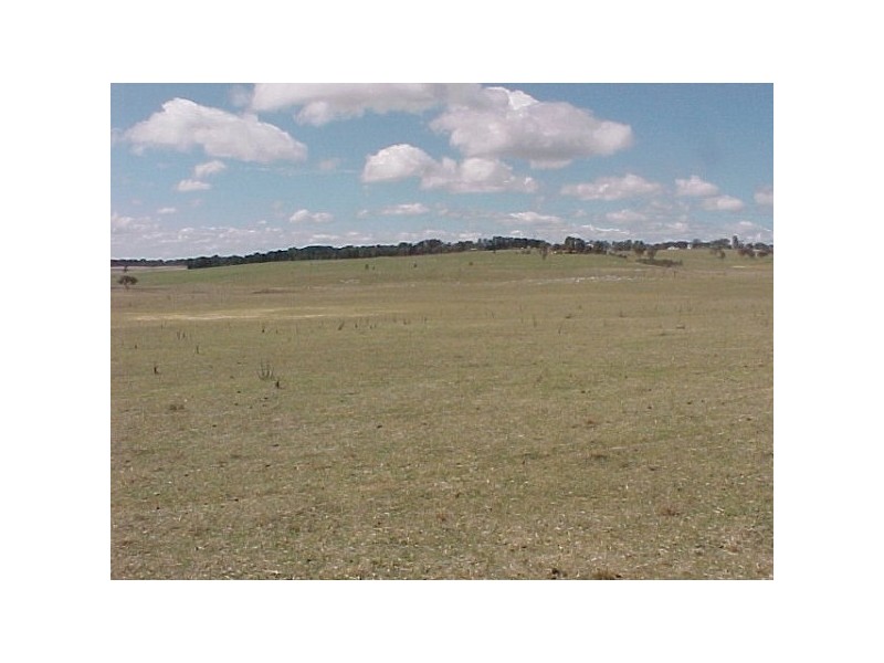 Glen Innes NSW 2370