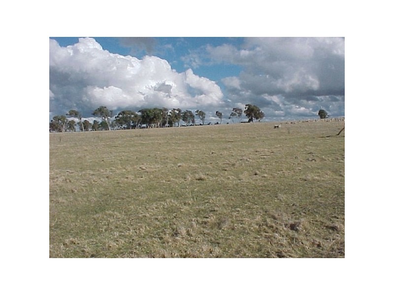 Glen Innes NSW 2370