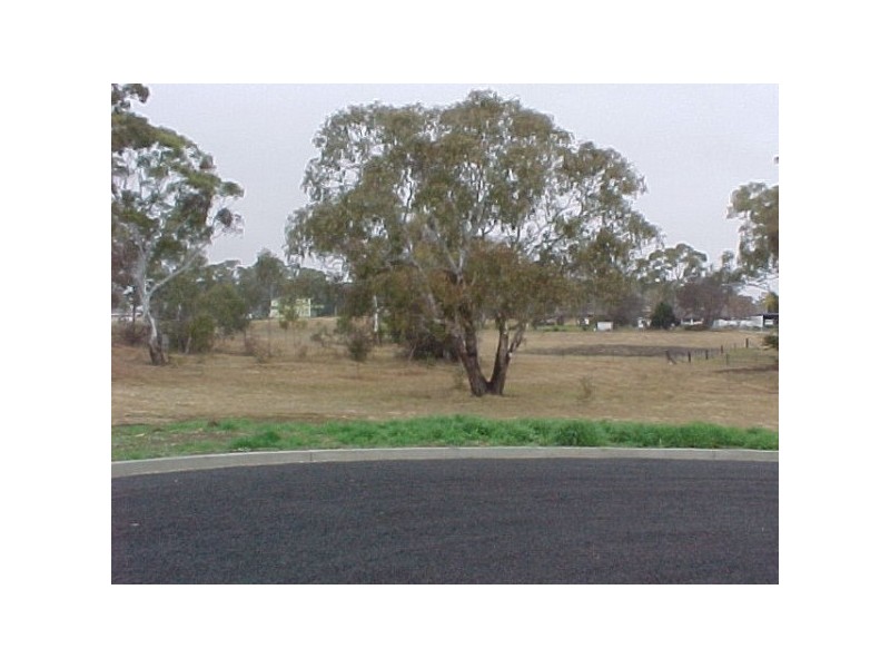 Glen Innes NSW 2370