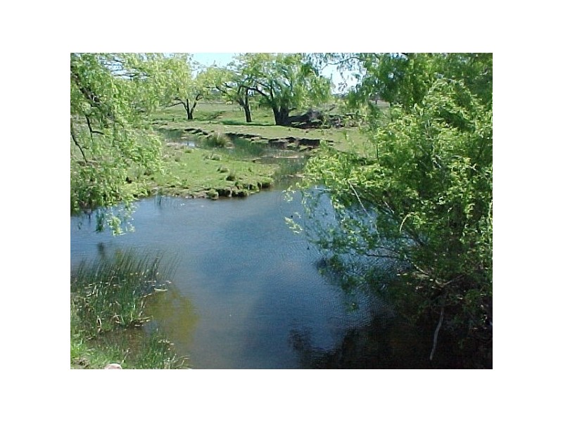 Lot 1 Kings Plains Road, Wellingrove NSW 2370