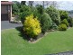 Glen Innes NSW 2370