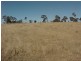 Lot 11 Sunnyview Drive, Glen Innes NSW 2370