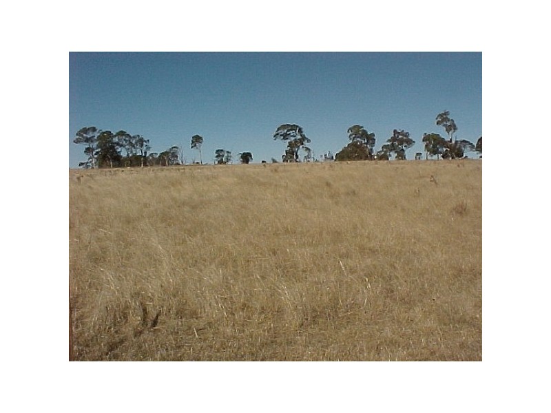 Lot 11 Sunnyview Drive, Glen Innes NSW 2370