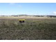 Glen Innes NSW 2370