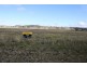 Glen Innes NSW 2370