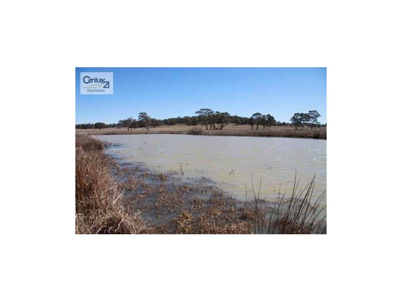 Glen Innes NSW 2370