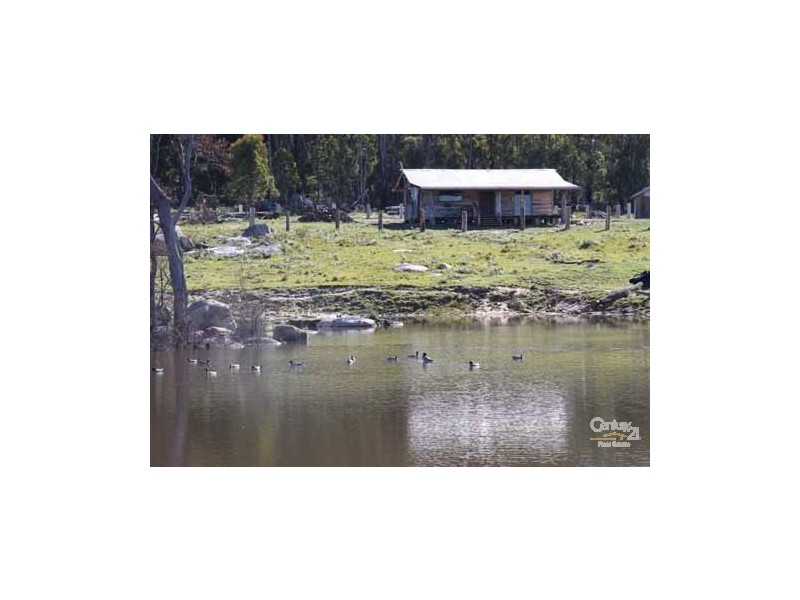 400 Worra Forrest Road, Glencoe NSW 2365