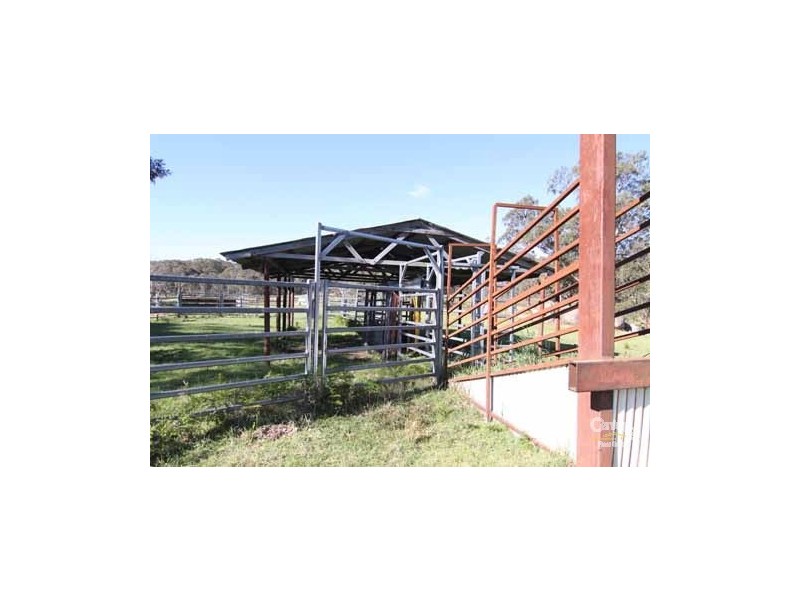 400 Worra Forrest Road, Glencoe NSW 2365