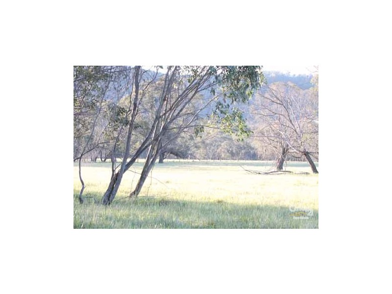 2719 Pinkett Road, Pinkett NSW 2370