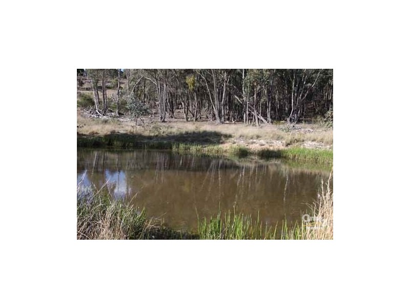 115 Deepwater Road, Emmaville NSW 2371