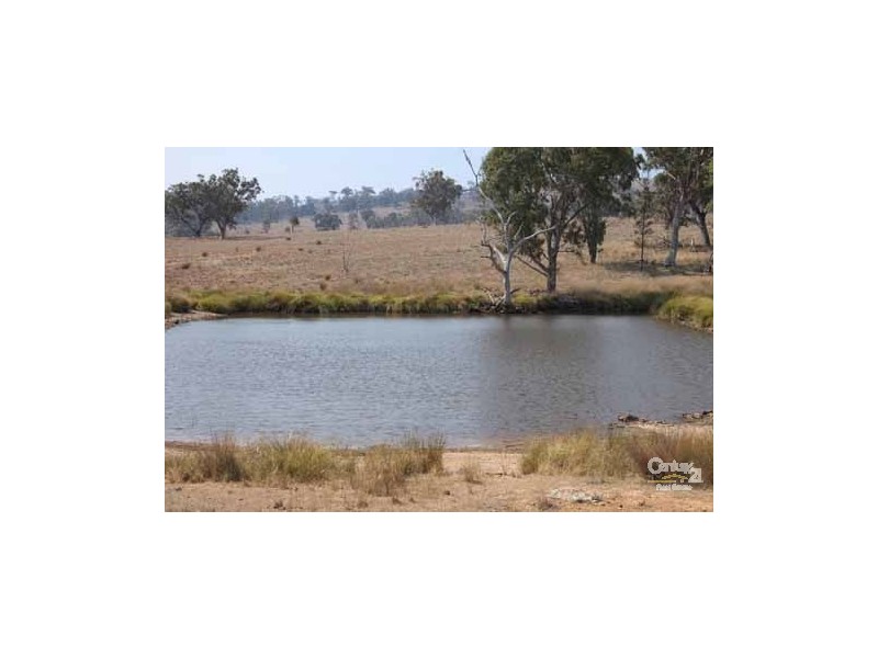 Emmaville NSW 2371