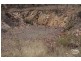 Emmaville NSW 2371