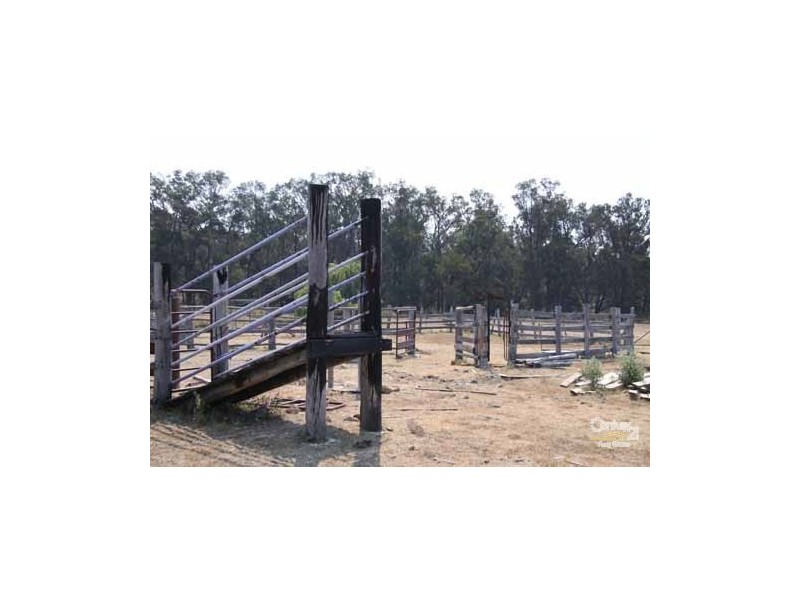 Emmaville NSW 2371