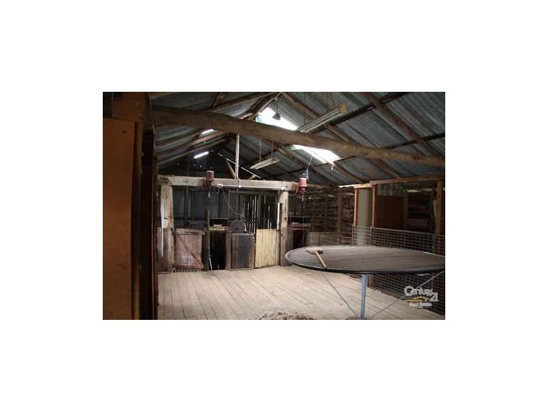 5107 Kingsplains Road, Wellingrove NSW 2370