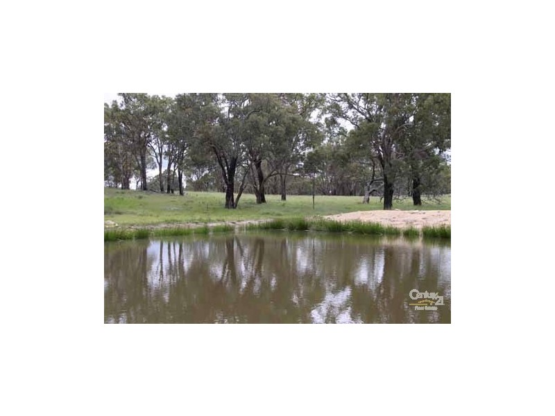 5107 Kingsplains Road, Wellingrove NSW 2370