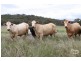 5107 Kingsplains Road, Wellingrove NSW 2370
