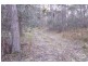 Lot 12 Sara River road, Mount Mitchell NSW 2365