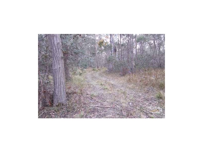 Lot 12 Sara River road, Mount Mitchell NSW 2365