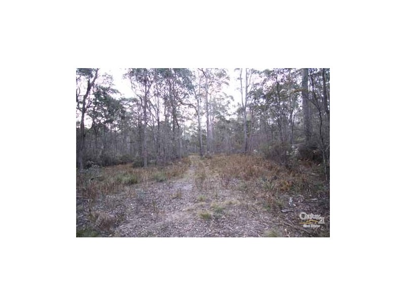 Lot 12 Sara River road, Mount Mitchell NSW 2365