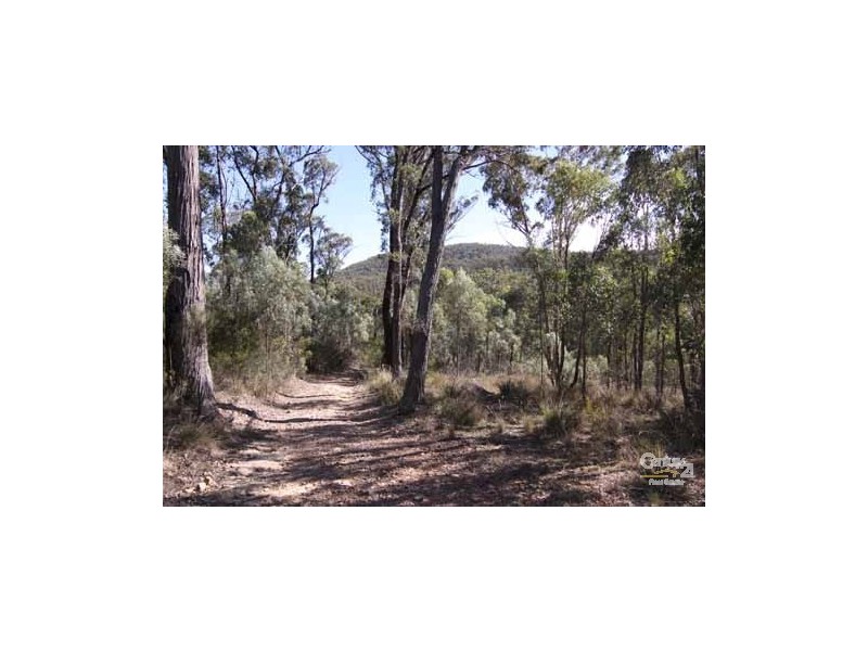2293 Emmaville road, Glen Innes NSW 2370