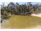 2293 Emmaville road, Glen Innes NSW 2370