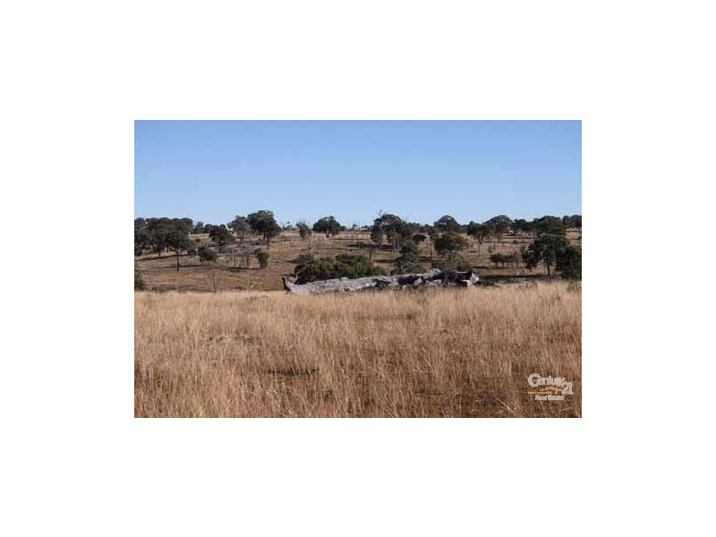 Emmaville NSW 2371