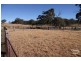 Emmaville NSW 2371