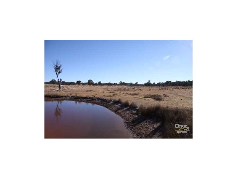 Emmaville NSW 2371