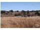 Emmaville NSW 2371