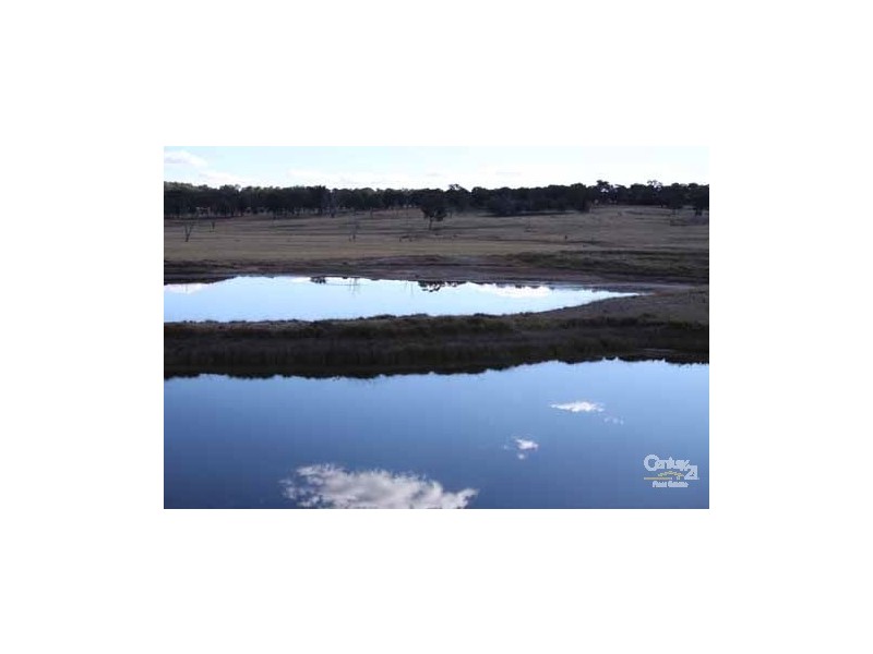 Wellingrove NSW 2370