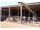 Glen Innes NSW 2370