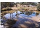 131 Gulf road, Emmaville NSW 2371