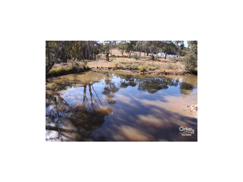 131 Gulf road, Emmaville NSW 2371
