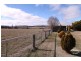 15 Stonehenge Road, Glen Innes NSW 2370