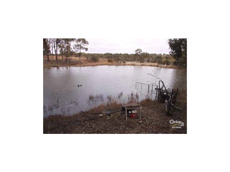 598 Yarraford Road, Dundee NSW 2370