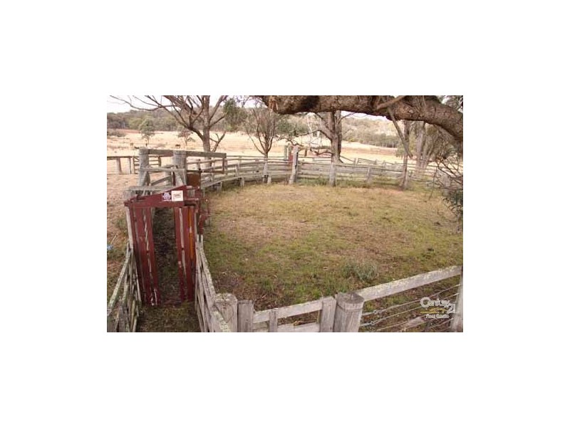 610 Carrot Farm Road, Deepwater NSW 2371