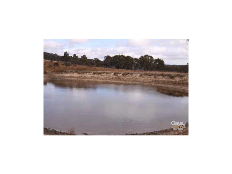 610 Carrot Farm Road, Deepwater NSW 2371