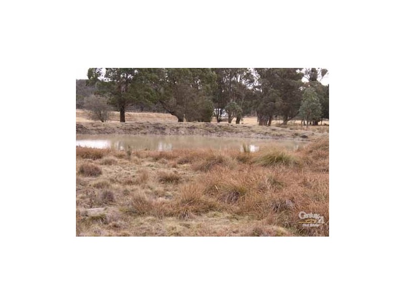 610 Carrot Farm Road, Deepwater NSW 2371