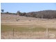 800 Polhill Road, Wellingrove NSW 2370