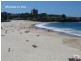 8/5 Abbott Street, Coogee NSW 2034