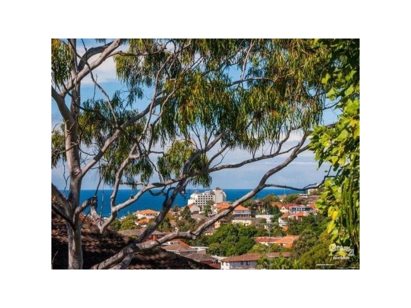 4/219 Alison Road, Randwick NSW 2031
