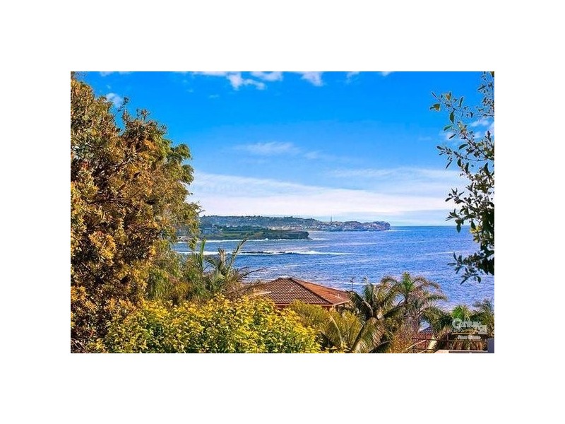 36 Torrington Road, Maroubra NSW 2035