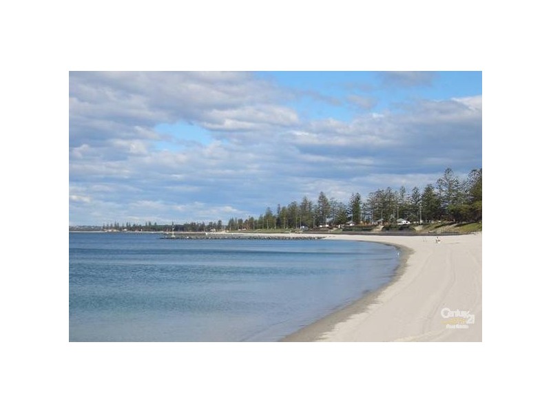 21 Cecil Street, Monterey NSW 2217