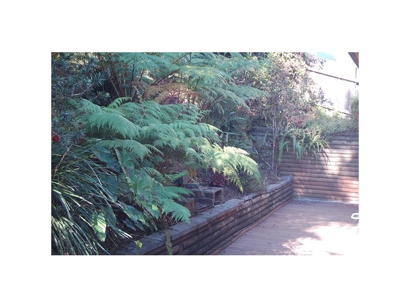 6 Duncan Road, North Avoca NSW 2260