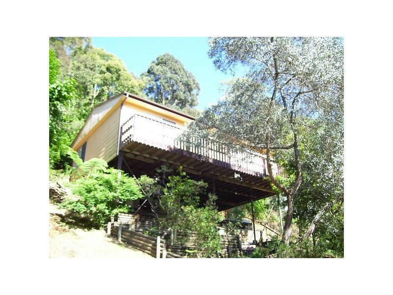 31 Lynette St, East Gosford NSW 2250