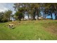 8 Jean Norman Cl, Wyoming NSW 2250