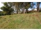 8 Jean Norman Cl, Wyoming NSW 2250