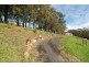 8 Jean Norman Cl, Wyoming NSW 2250